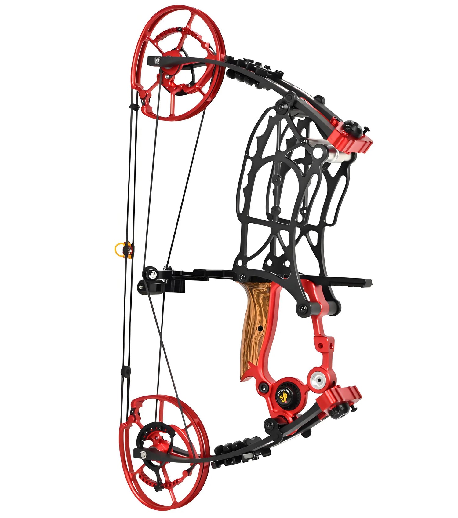 Blaze Dual-Use Compound Bow (45-70 Lbs)