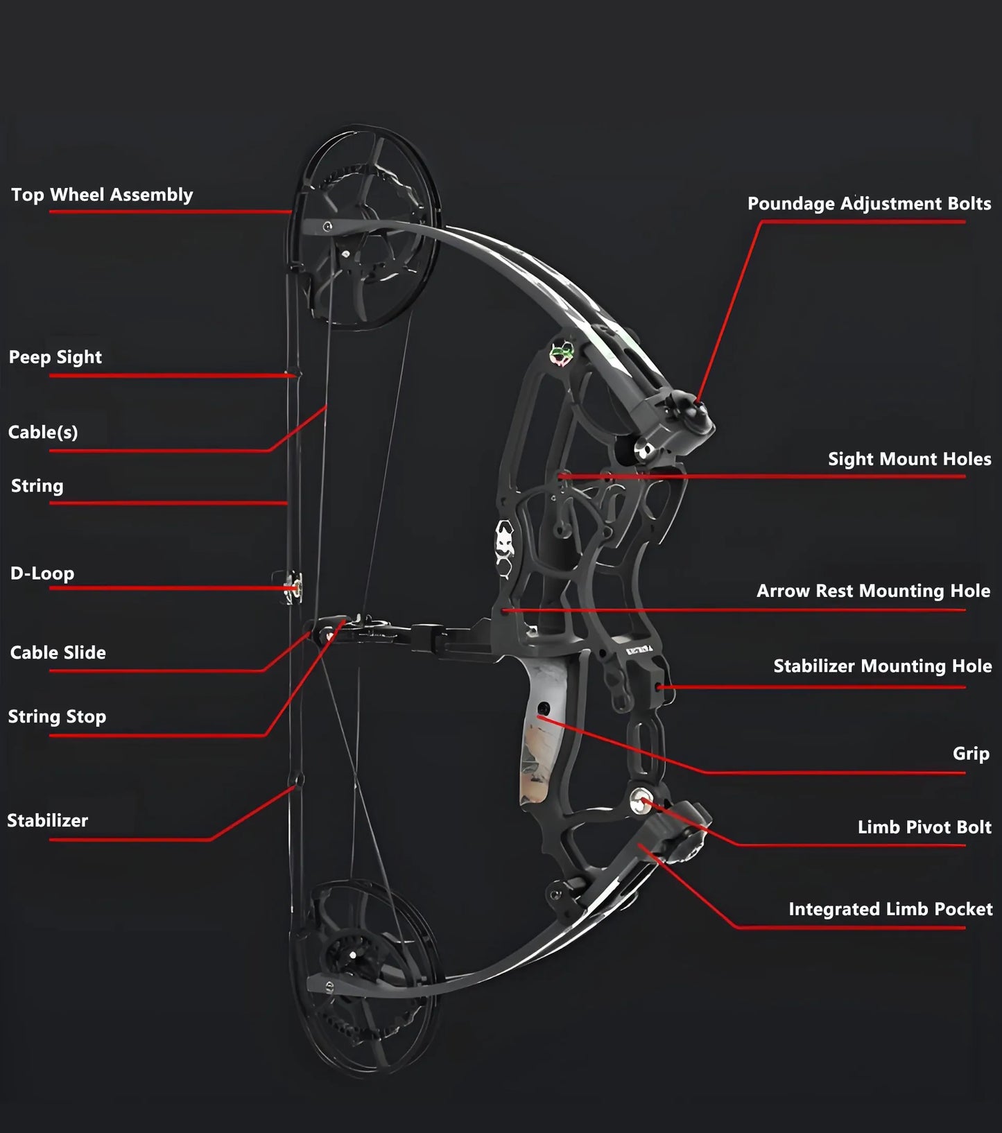 Phantom Hybrid Compound Bow (45-75 Lbs)
