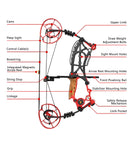 Blaze Dual-Use Compound Bow (45-70 Lbs)